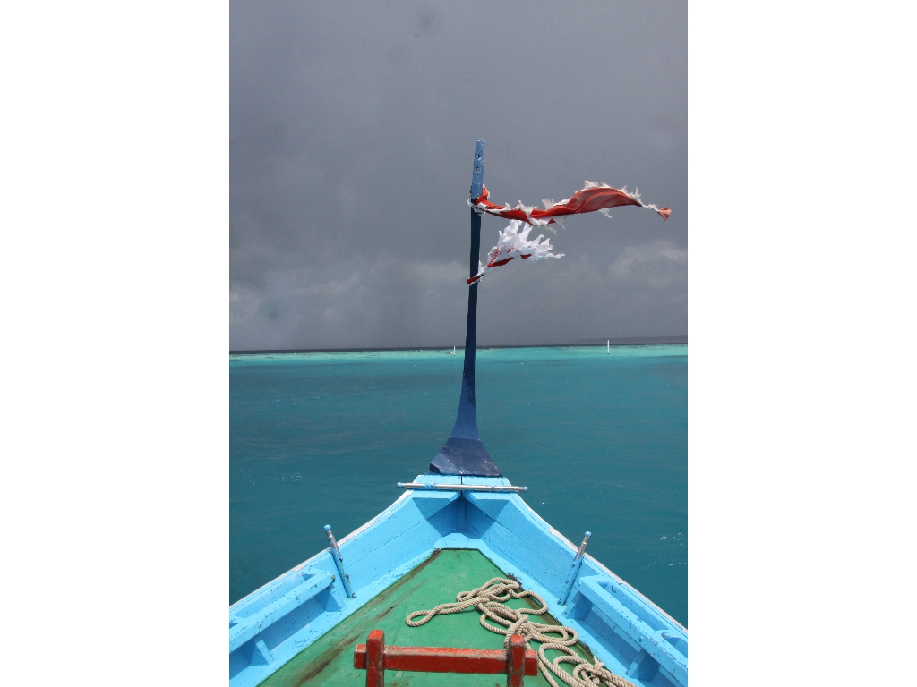 2010-10-17 07-44-10 - Maldives 2010 IMG_5797 2010-10-17 07-44-10 - Maldives 2010 IMG_5797